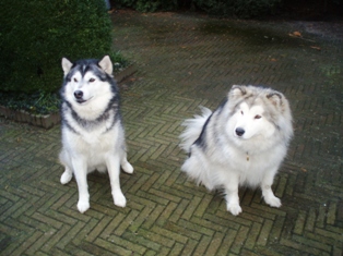 Uska (à droite) et Noor (à gauche)